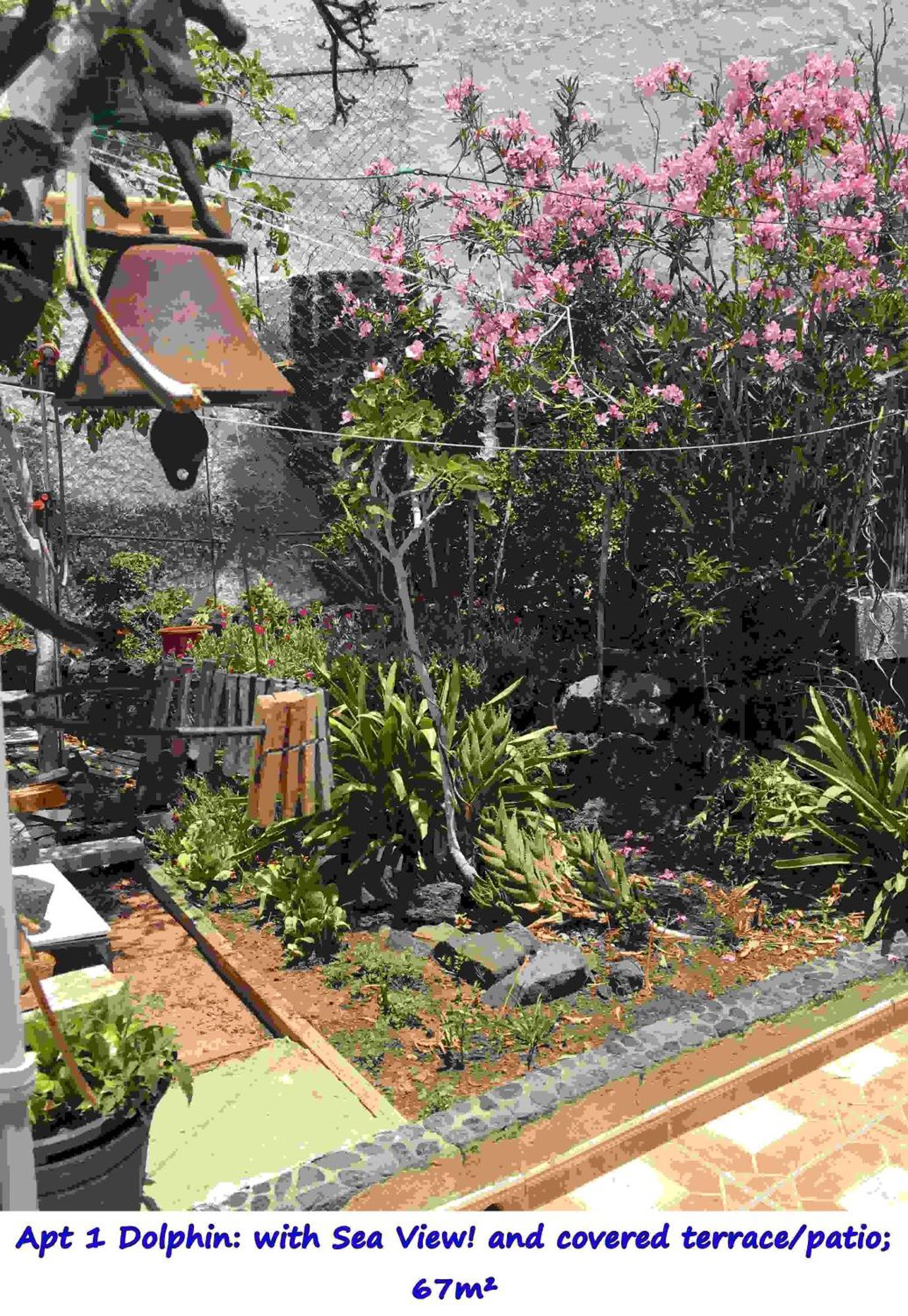 Casa Las Playitas -Clp- Best Sea View - In 1 Minute Ocean Las Playas Exterior foto